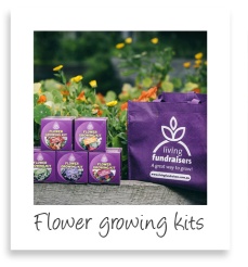flower-growing-kits-pic