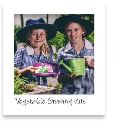 vegetable-growing-kits-pic